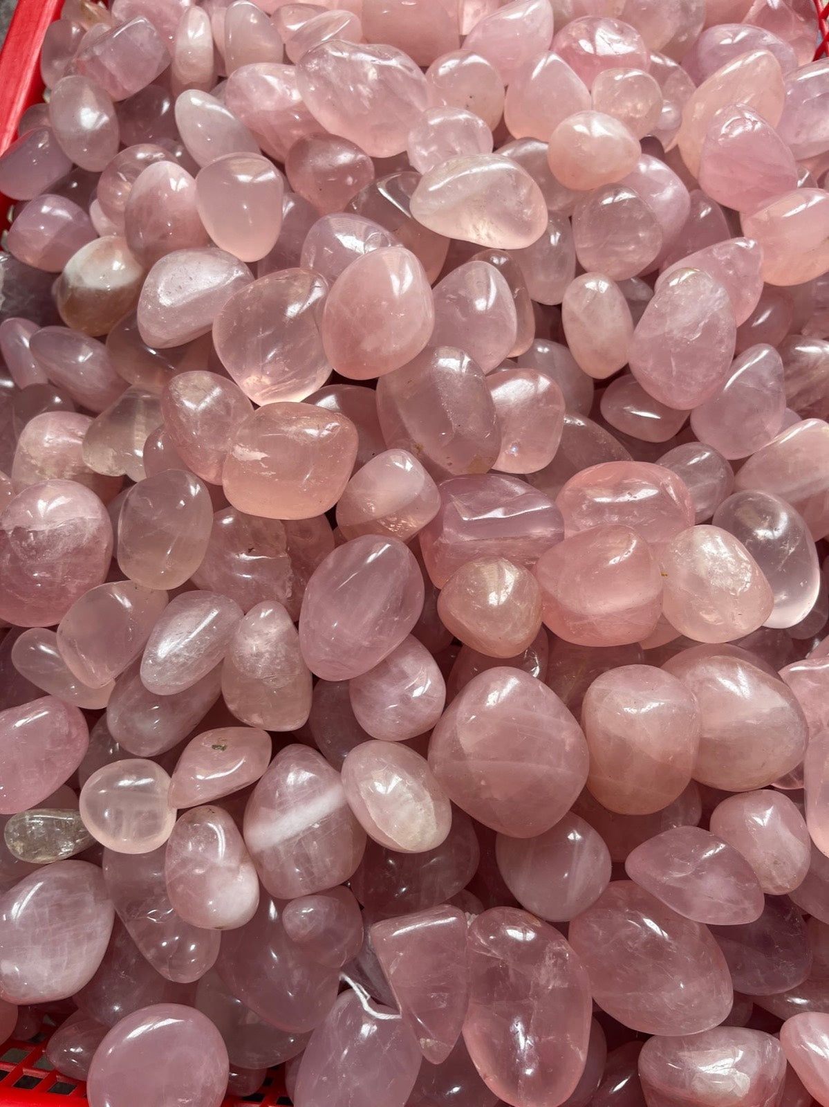 Polished rose quartz tumbled stones